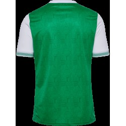 ASSE Herren-Heimtrikot 2025/26 ASSE Herren-Heimtrikot 2025/26