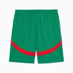 Kinder Marokko 2025 Dritte Shorts - Grün Kinder Marokko 2025 Dritte Shorts - Grün