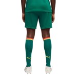 Herren Senegal 2026 Auswärts-WM-Shorts Herren Senegal 2026 Auswärts-WM-Shorts