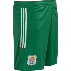 Kinder PEC Zwolle 2025/26 115-Jahre-Jubiläumsshorts Kinder PEC Zwolle 2025/26 115-Jahre-Jubiläumsshorts
