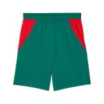Herren Senegal 2026 Auswärts-WM-Shorts Herren Senegal 2026 Auswärts-WM-Shorts