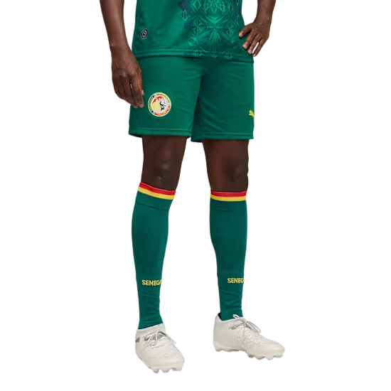 Herren Senegal 2026 Auswärts-WM-Shorts Herren Senegal 2026 Auswärts-WM-Shorts