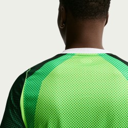 Herren Nigeria 2026 Heim-WM-Trikot Herren Nigeria 2026 Heim-WM-Trikot