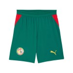Herren Senegal 2026 Auswärts-WM-Shorts Herren Senegal 2026 Auswärts-WM-Shorts