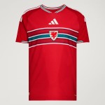 Herren Wales 2026 Heim Authentic-Weltmeisterschaftstrikot Herren Wales 2026 Heim Authentic-Weltmeisterschaftstrikot