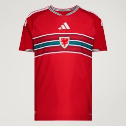 Herren Wales 2026 Heim Authentic-Weltmeisterschaftstrikot