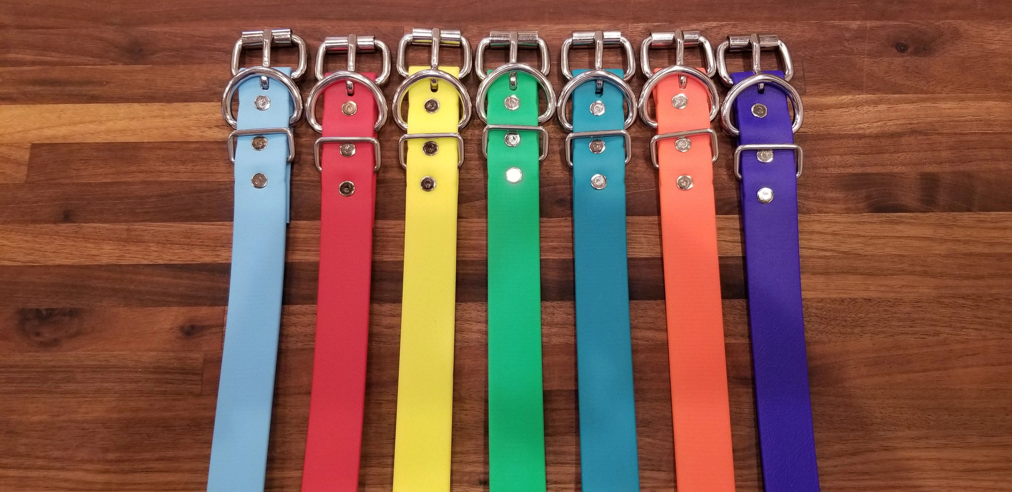Flaches Halsband mit Rollenschnalle